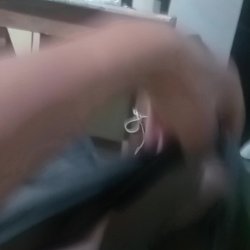 VID-20260312-WA0035
