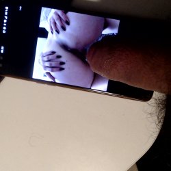 tribute