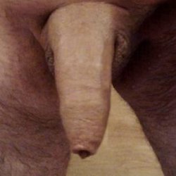 Mein Penis