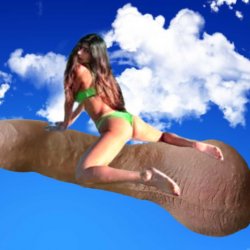 Flying cock