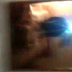 Slut Wife Cheats on Husband with Big Black Cock