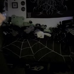 Here's my gothic bag collection