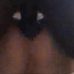 White Wife Orgasms Being Fucked By Black Lover Boy