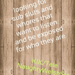 Sub sluts and whores wanted. Kik or tele naughtywelshste