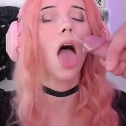 OMeerkatL 13