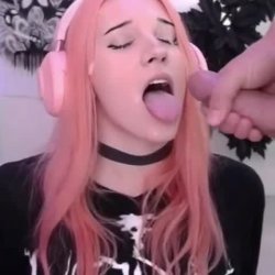 OMeerkatL 8
