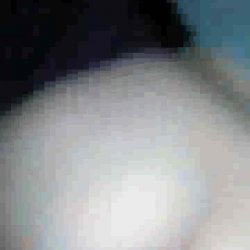 9801.