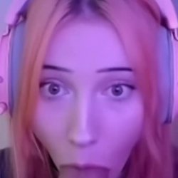 OMeerkatL 24