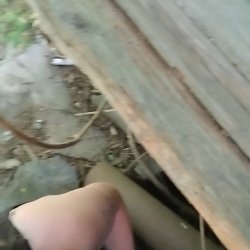 Courtney the tooth 7/6/25 don't do drugs kids