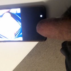 Tribute
