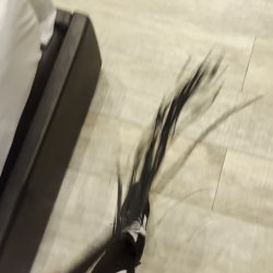 I need some whipping today and a hard fuck