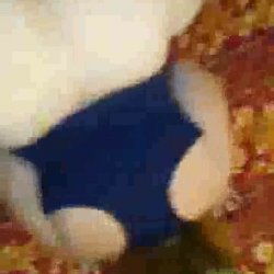 BBC Creampies Wife's Shaved Pussy While Cuckold Films