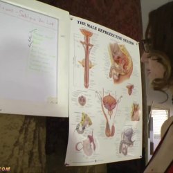 Watch Ballbusting Auditions Sablique Von Lux - Ballbusting Sabli