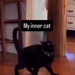 A t-woman has to be elegant as cat