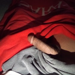 IMG_20260429_040449