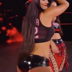 Nikki Bella Babecock Part 1