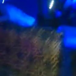 BORRACHA (Tirando En Discoteca)