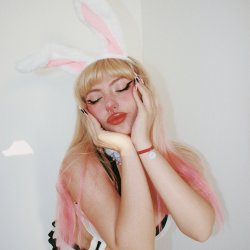 You can pet the bunny… if you behave