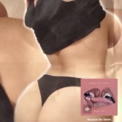 Screen recordings, big tits, fat asses and blowjobs