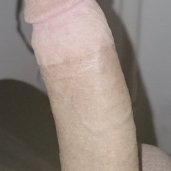 Hard cock 🍆