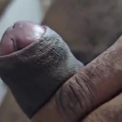 BBC JOI Smegma