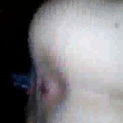 Blonde wife in interracial cuckold gangbang