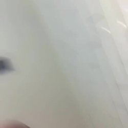 Thick Walmart worker flashing her pussy and twerking in the bathroom