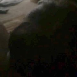 Married MILF neighbor invites over BBC for a quick blow while she home alone 💍🍆
